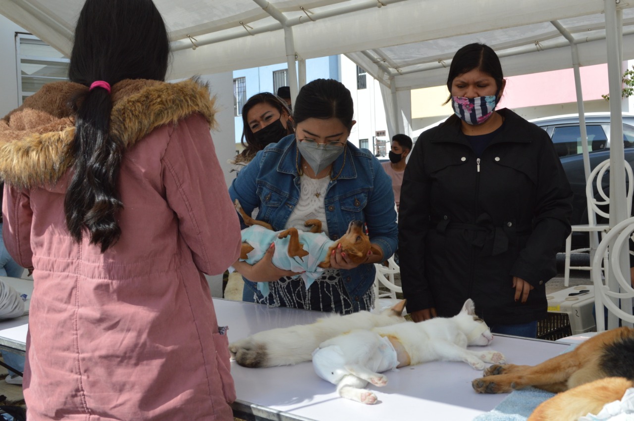 Grisel Tello Michoacán