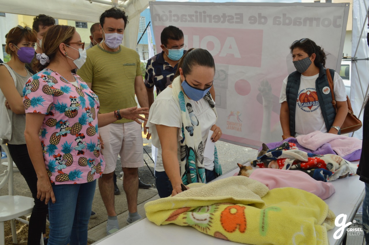 Grisel Tello Michoacán