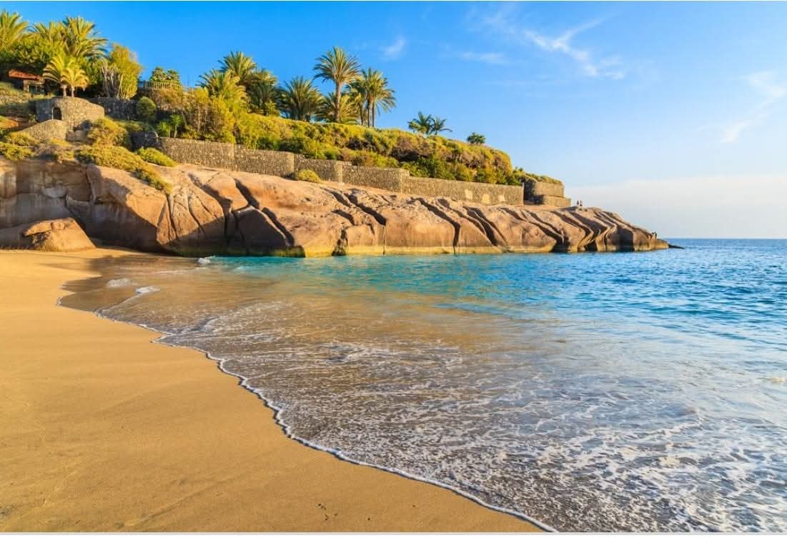 EL GOBIERNO DE CANARIAS, CÓMPLICE NECESARIO DE LA DESTRUCCIÓN DEL LITORAL EN ADEJE