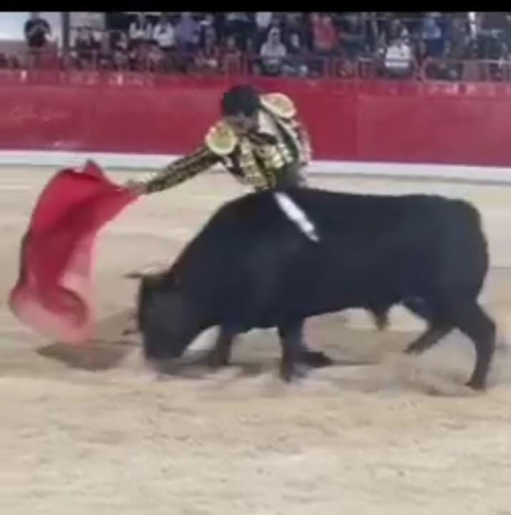 TARDE GRANDE LA VIVIDA EN VALLADOLID MÉXICO