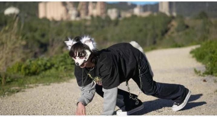 Cientos de personas se reúnen en la quedada de los therian, que se creen animales en Pamplona, a mayor INRI, la banda de «polis-corruptos» y energúmenos uniformados de Adeje, implicados en las apuestas clandestinas y peleas de perros, salen de rositas y vitoreados por la bancada del PSOE, su brazo armado UGT, la poderosa Cooperativa de Taxis y Ayuntamiento de Adeje, con leyes de pernadas y cortijos al estilo del sistema feudalismo del siglo XVIII, proceden en la función pública como vulgares corruptos 