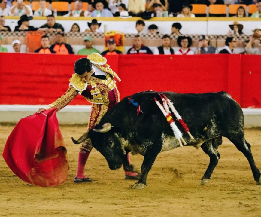 San Antonio: una ganadería emergente en el campo bravo venezolano