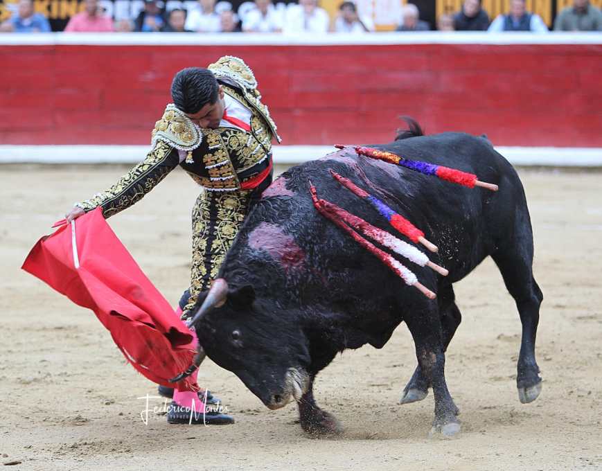 En el marco de la Feria del Nazareno Los toros vuelven a Achaguas por Semana Santa