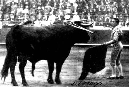 El toro bravo más grande que se ha lidiado en la historia de las corridas