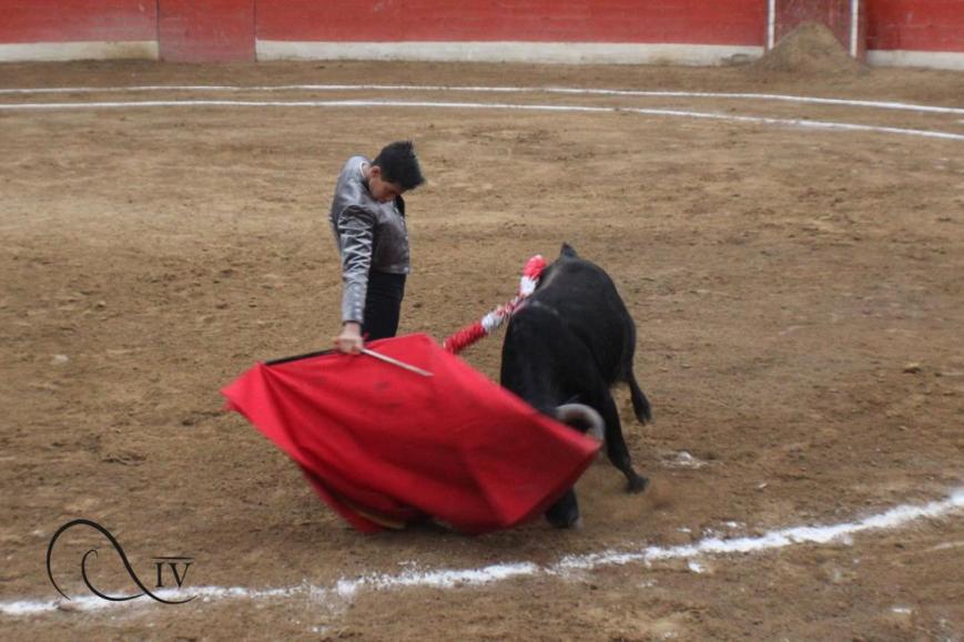 Novillero sin caballos Santiago Guerrero se integra al festival taurino de la Feria de Táriba