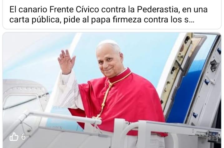 EL FRENTE CÍVICO CONTRA LA PEDERASTIA EN CANARIAS EXIGE AL PAPA UNA REFORMA RADICAL ANTE EL «SILENCIO CÓMPLICE» DE LOS OBISPOS ESPAÑOLES
