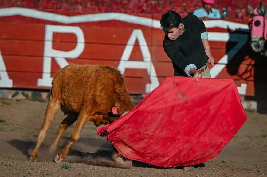 Fabio Castañeda afila su tauromaquia en exigente tienta 