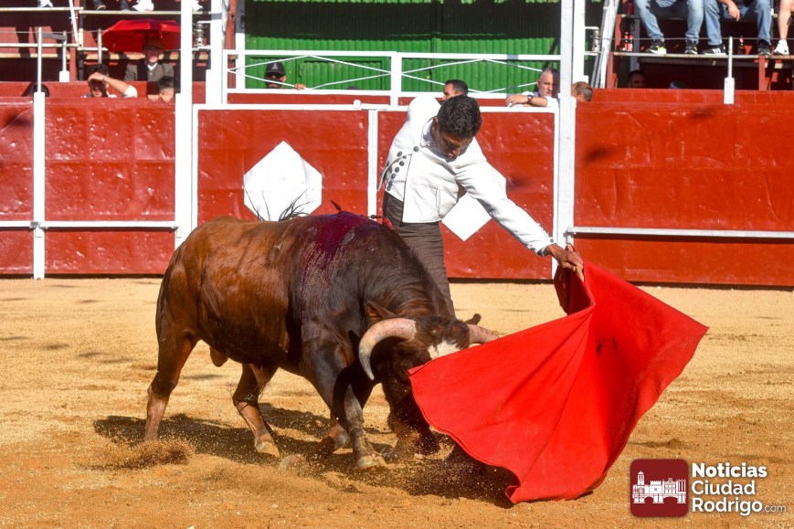 José David Cadavid: dos vueltas al ruedo en La Alberca, España