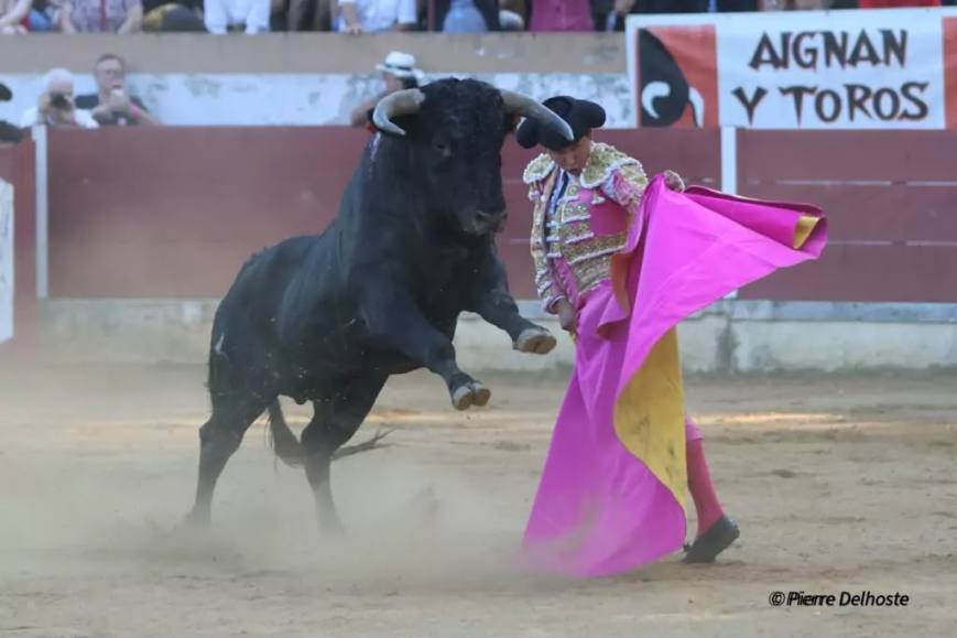 Fernando Vanegas roza la puerta grande en Maubourguet, Francia 