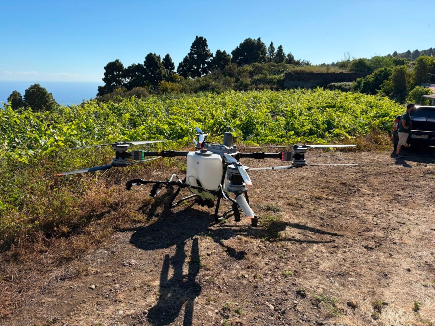 Inteligencia artificial y drones: la DOP Islas Canarias – Canary Wine participa en la viticultura del futuro