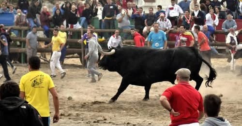 EL TORO BRAVO