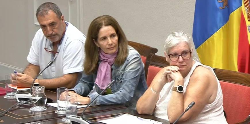 El pasado 30 de septiembre representantes de los trabajadores del Hospital Insular deLanzarote participaron en la Comisión de Sanidad del Parlamento de Canarias: BlancaTorres, Yasmina Tabares y Ariel Bonilla intervinieron en defensa del modelo de la atención geriátrica en Lanzarote